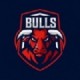Bulls FC